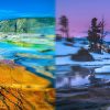 Elegir la mejor época del año para visitar Yellowstone