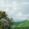 Disfruta del Paraíso: Una guía de los mejores tours en Hawaii